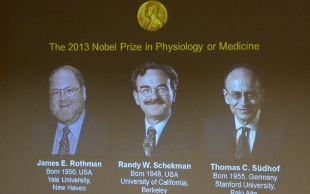 美德三位科学家共享2013诺贝尔医学奖