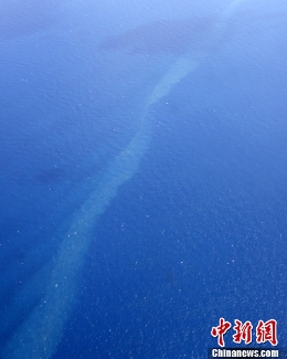中国海警船发现油污带 已取样送检