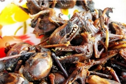 各地最美味的街边小吃 老挝炸蝙蝠