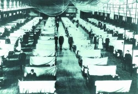 传染病改变历史：罗马亡于疟疾