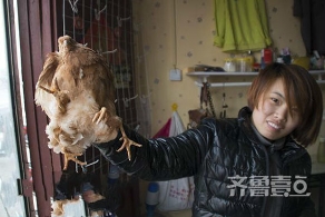 山东菏泽现“四腿鸡” 专家称不影响食用