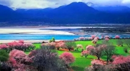 3月国内最美的12个春游地 沪周边多处上榜