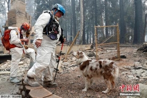 加州山火已致59死！遇难人数或进一步上升