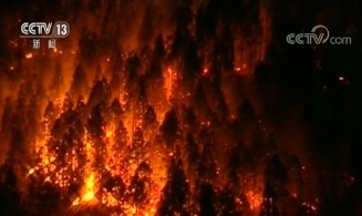 西班牙的大加纳利岛发生山火 或因人为纵火