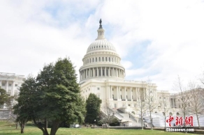 美国会众议院因新冠疫情暂时取消复会计划