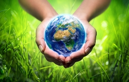 世界环境日：向污染宣战