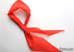 龙业鼐：第一个戴红领巾的人