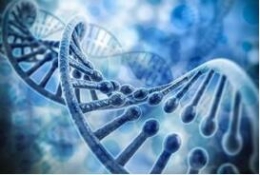 基因可预测人类死亡时间吗