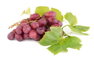 秋季饮食养生 吃葡萄竟有这六大好处