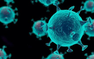 英国发现的变异新冠病毒正在瑞典迅速传播