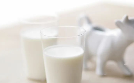 关于牛奶的五个冷知识 你最关注哪一个？