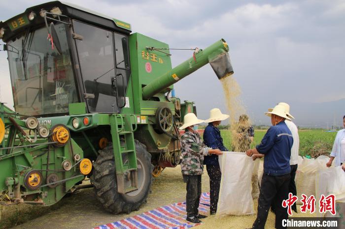 582.9公斤山西临汾旱地小麦单产创该省最高纪录