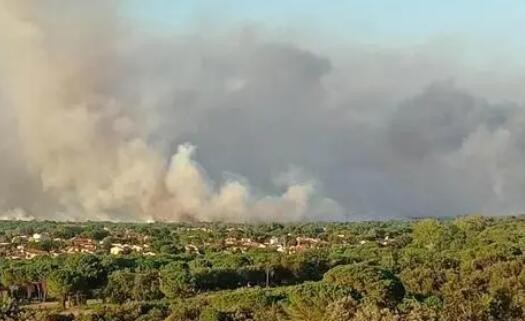 法国南部发生森林火灾3000多人被疏散