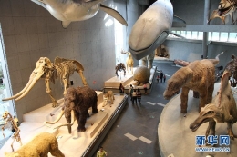 世界首个主题制自然博物馆亮相上海