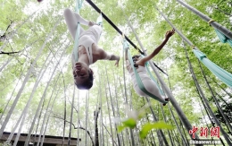 瑜伽达人竹林表演空中绝技布缎上睡觉