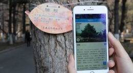 大学生给校园树挂“身份证” 扫二维码知树木身世