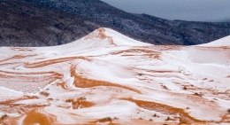 不可思议！撒哈拉沙漠时隔37年再降雪