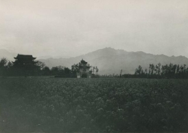 1909年的四川都江堰