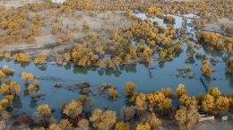 今年塔里木河下游生态输水累计下泄水量突破10亿立方米