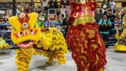巴西狂欢节致敬中国年