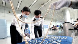 广州海关一季度共查获走私象牙制品逾24千克