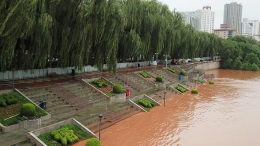 黄河兰州段水位流量居高不下