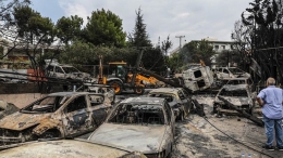 希腊森林火灾已至74人遇难