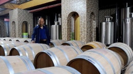 葡萄酒产业富民增收