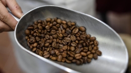 中美洲的“咖啡王国”