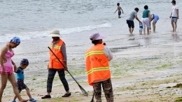 青岛：清理海滩迎客来