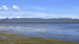 甘肃尕海湖水域持续扩大