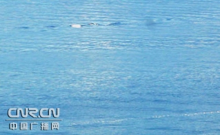新疆赛里木湖游动10米长不明水生物[组图]