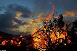 美摄影师拍摄火山烧毁树木瞬间