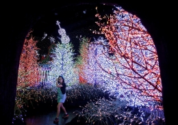 新加坡圣诞灯光秀82万个灯泡创纪录