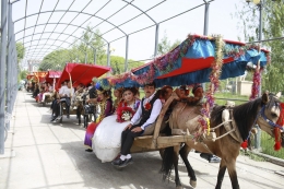 维吾尔族婚礼真拉风14辆马车载娇美新娘