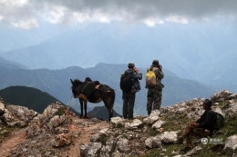 孟日神山最后的放牧人：4000多米高山上飞檐走壁