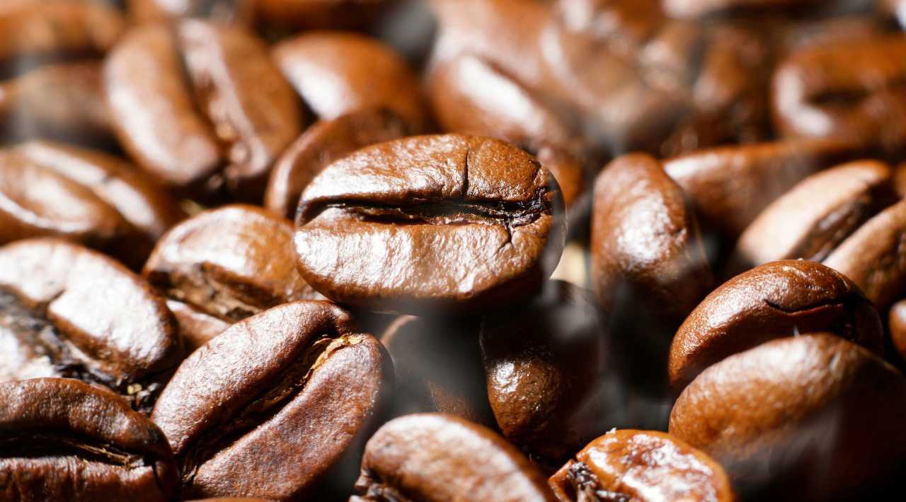 猫屎咖啡、无咖啡因咖啡都是如何制造出来的