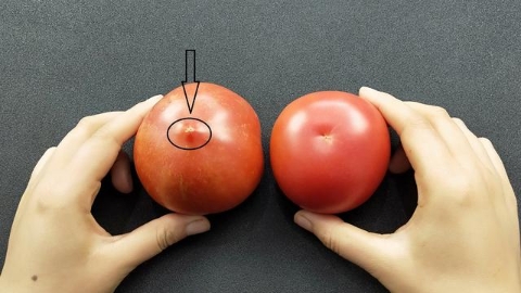 这五个方法教你挑出又沙甜又多汁的西红柿