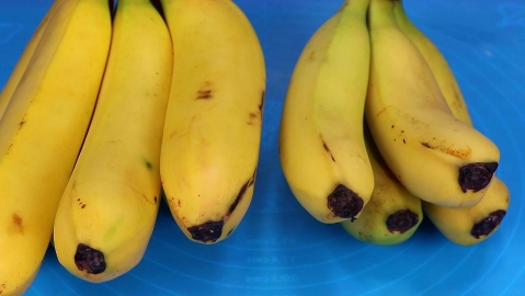 买香蕉学会这些 绝对能挑出又甜又香的香蕉