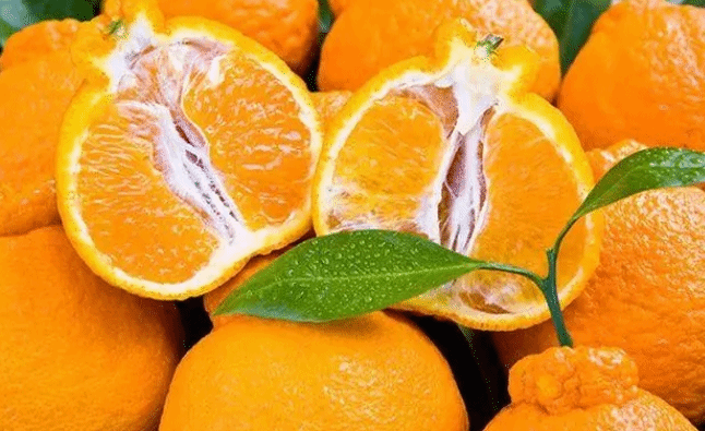 原来丑橘不是橘子！柑橘类水果的营养有哪些