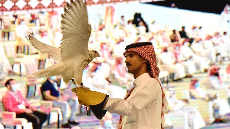 沙特举办国际猎鹰繁育拍卖会