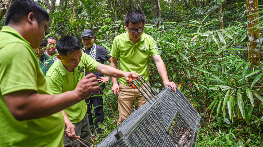 海南：放归国家重点保护野生动物
