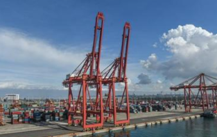 海南自贸港开通本地航运企业联合运营外贸线