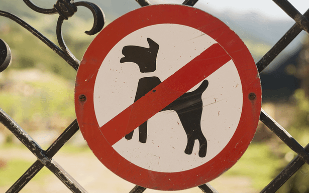 济南立法规范养犬行为 公共场所禁止携带犬只进入