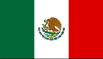 墨西哥国防部：一架军用飞机坠毁致6人死亡