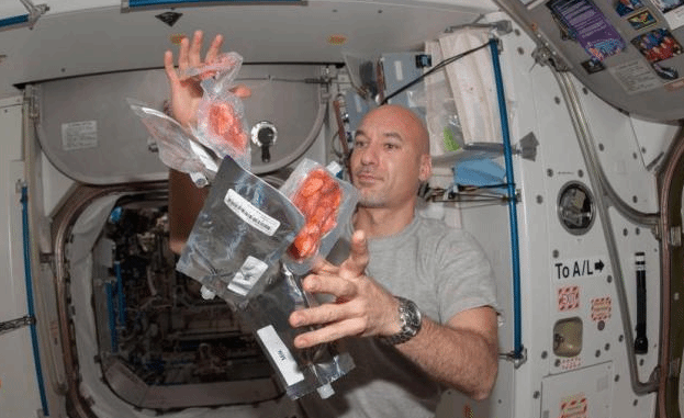 国际空间站俄“星辰”舱冒烟 宇航员称有燃烧气味