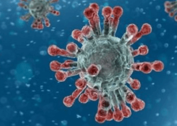 新冠病毒新变种蔓延 美国冬季疫情恐反弹