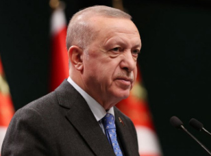 埃尔多安：不会允许西方将土耳其拖入对俄战争