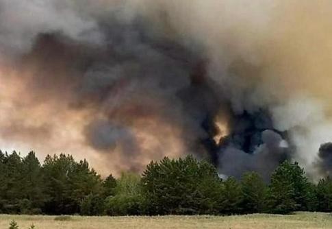 哈萨克斯坦森林火灾致14人死亡 将举行全国哀悼