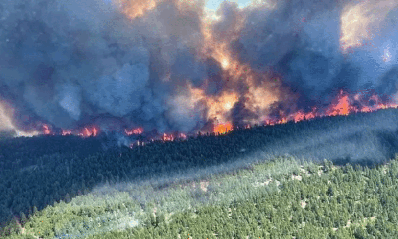 加拿大面临最严重森林火情 仍有500多处正在燃烧